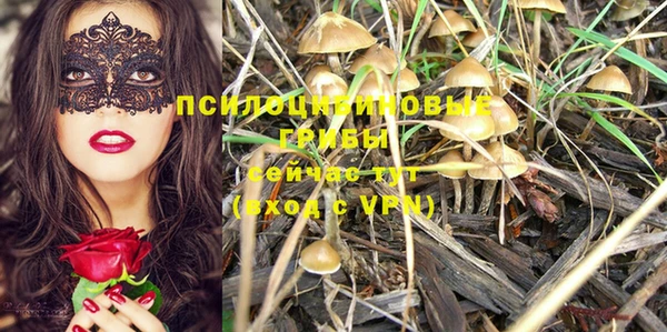 синтетический гашиш Бородино