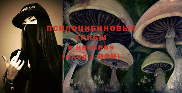 гашик Бронницы